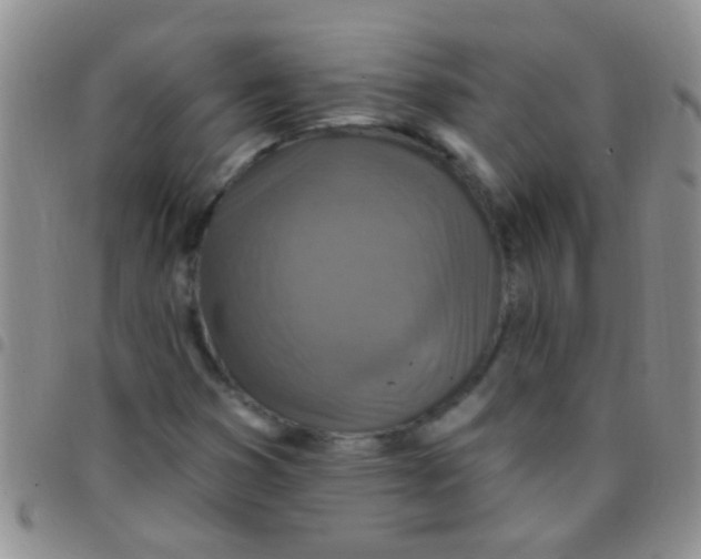 X0000097511353200803142032