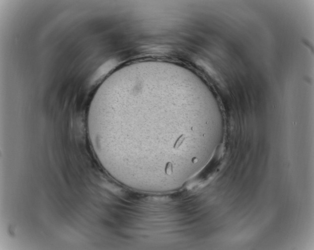 X0000097511354200803142032