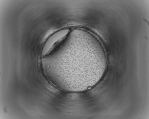 X0000097511355200803142032