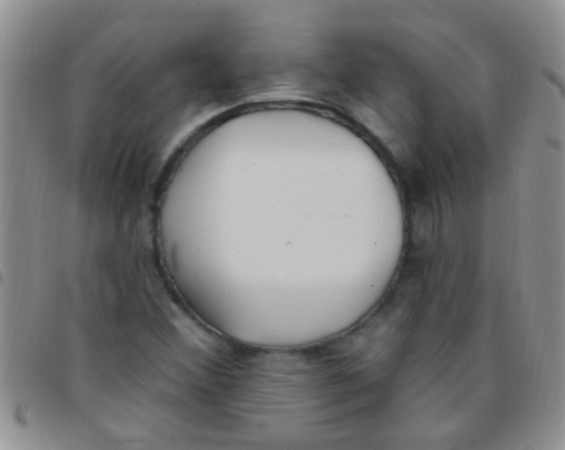 X0000097511356200803142032