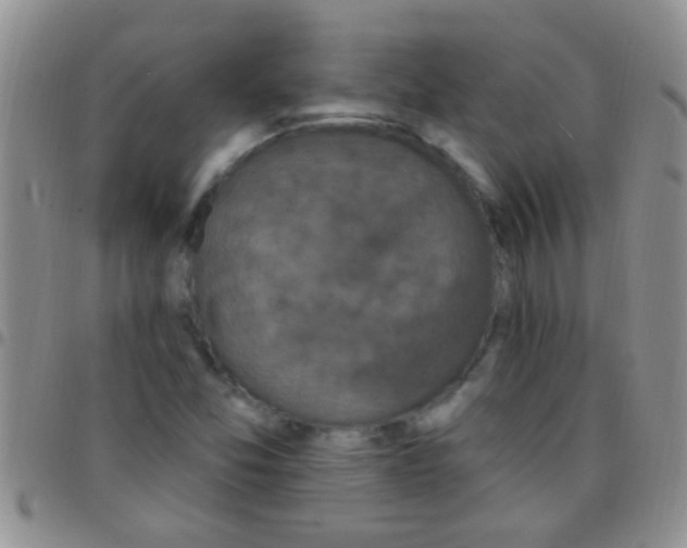 X0000097511357200803142032