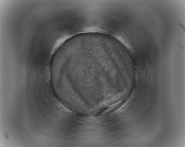 X0000097511358200803142032