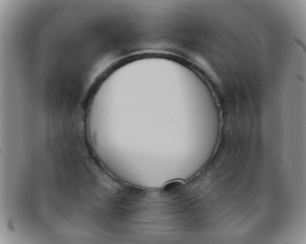 X0000097511360200803142032