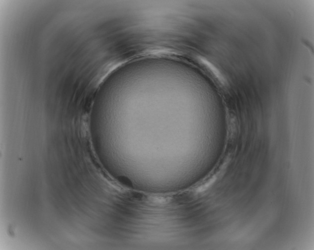 X0000097511361200803142032