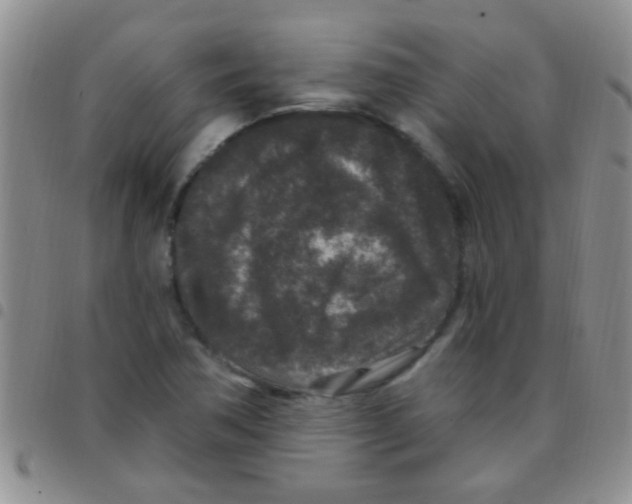 X0000097511362200803142032