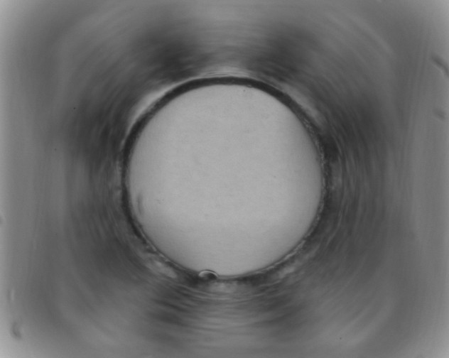 X0000097511364200803142032