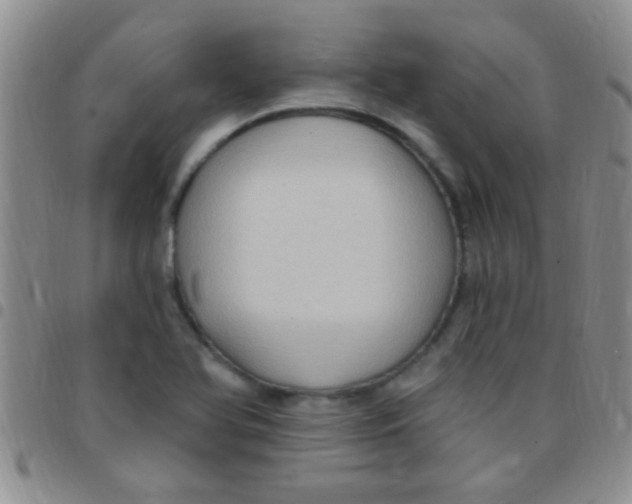 X0000097511366200803142032