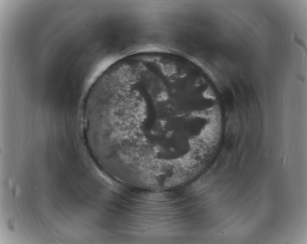 X0000097511367200803142032