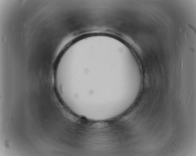 X0000097511368200803142032