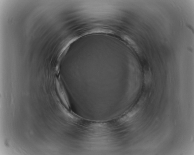 X0000097511369200803142032