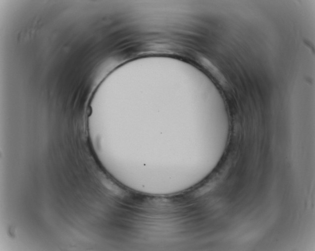 X0000097511370200803142032