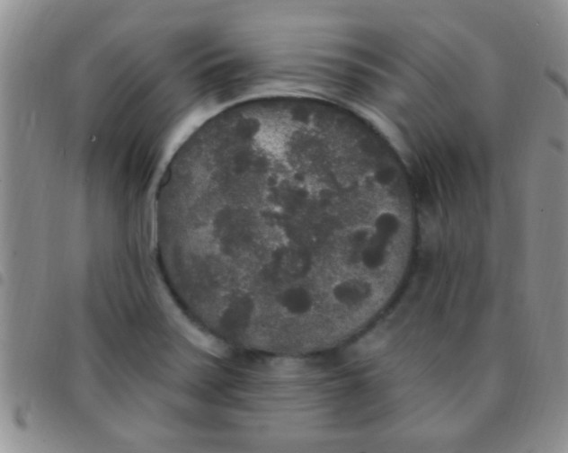 X0000097511371200803142032