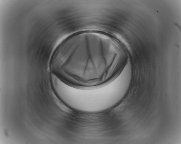 X0000097511372200803142032