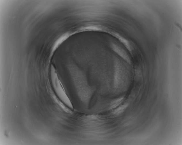 X0000097511373200803142032