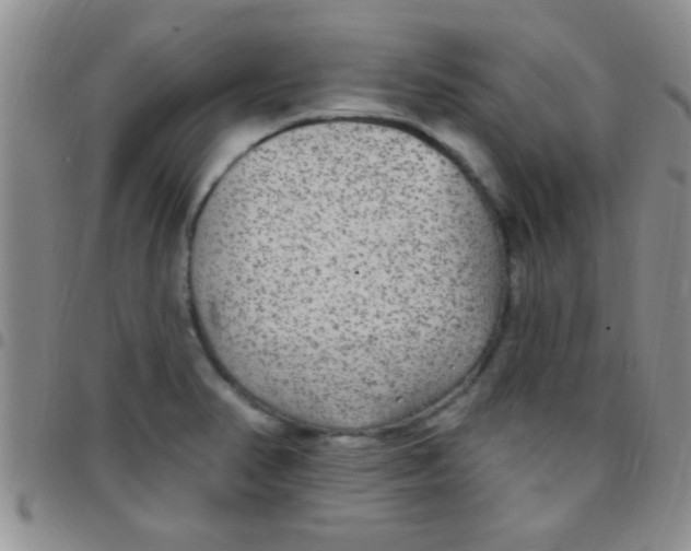 X0000097511374200803142032