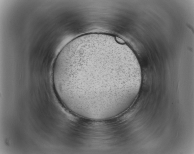 X0000097511375200803142032