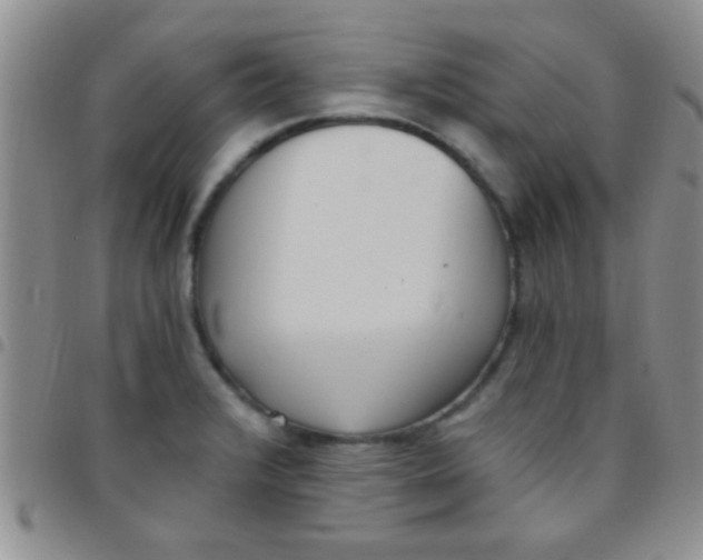 X0000097511376200803142032