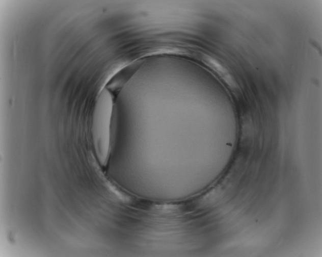 X0000097511377200803142032