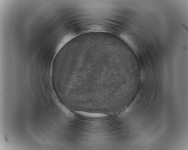 X0000097511378200803142032