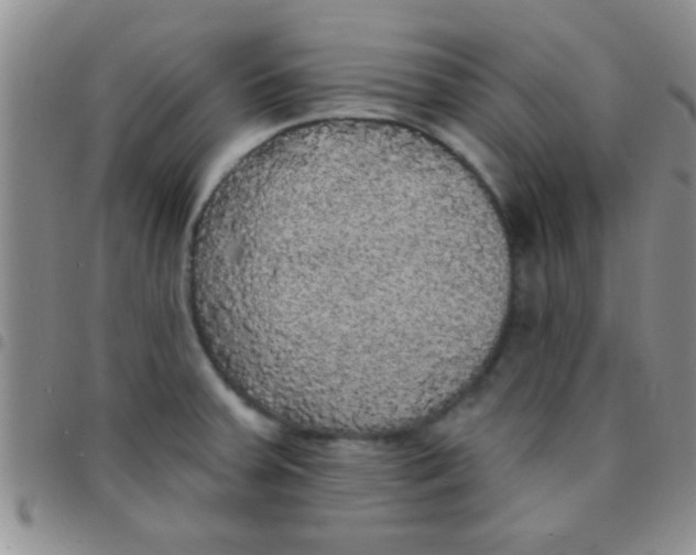 X0000097511379200803142032