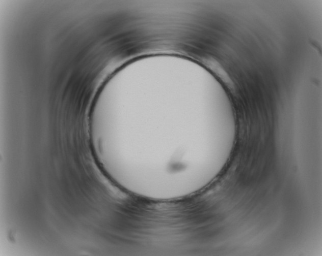 X0000097511380200803142032