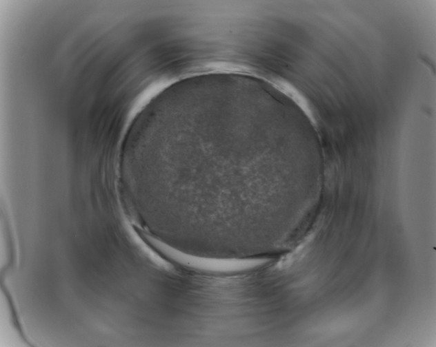 X0000097511381200803142032