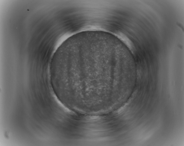 X0000097511382200803142032