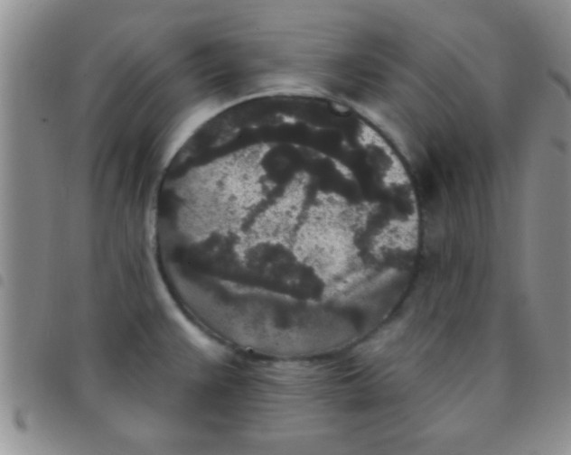 X0000097511383200803142032