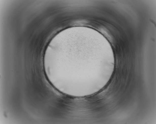 X0000097511384200803142032