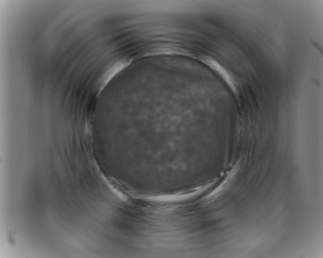 X0000097511385200803142032