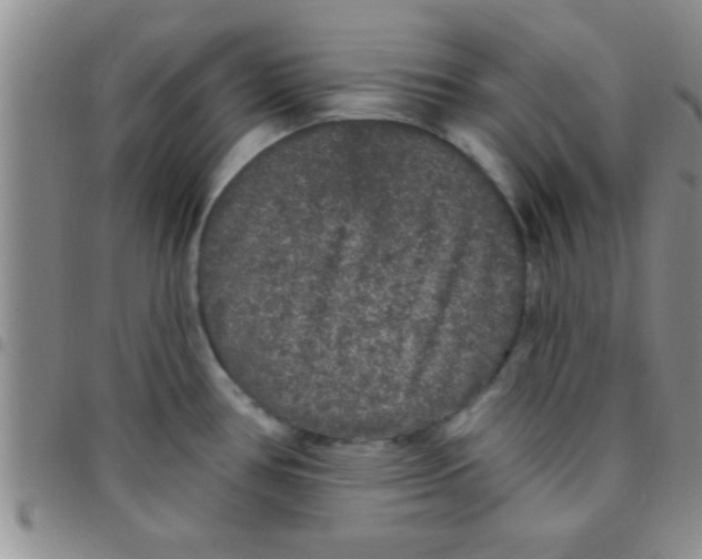 X0000097511386200803142032