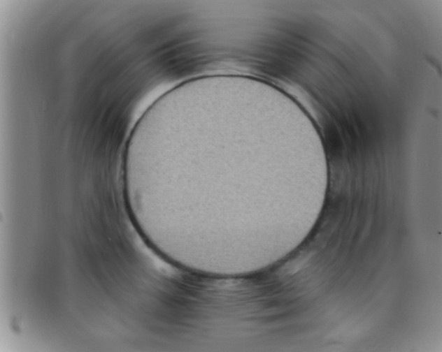 X0000097511387200803142032