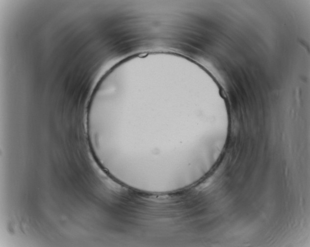 X0000097511388200803142032