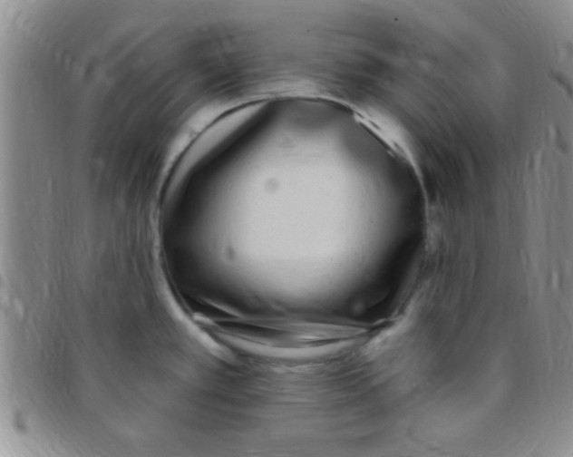 X0000097511389200803142031