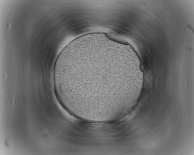 X0000097511391200803142031