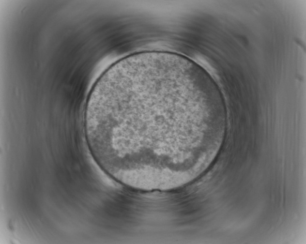 X0000097511392200803142031