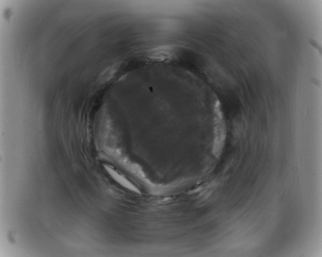 X0000097511394200803142031