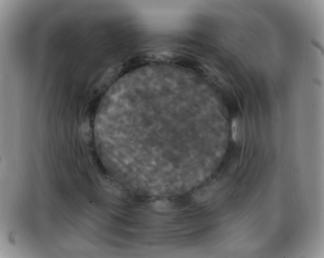 X0000097511395200803142031