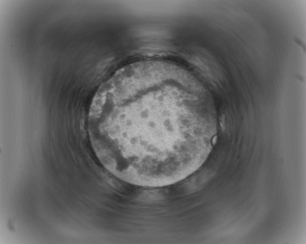 X0000097511396200803142031