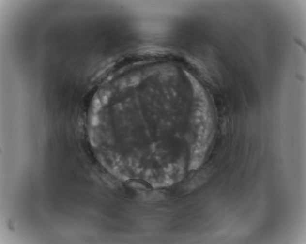 X0000097511397200803142031