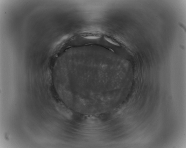 X0000097511398200803142031