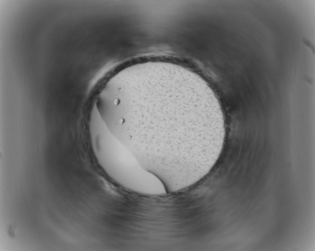 X0000097511400200803142031