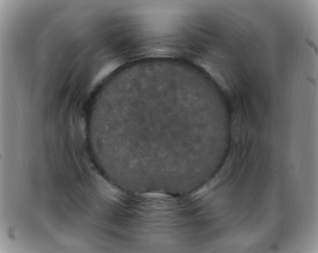 X0000097511402200803142031