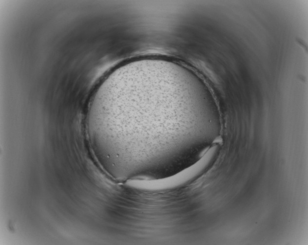 X0000097511404200803142031