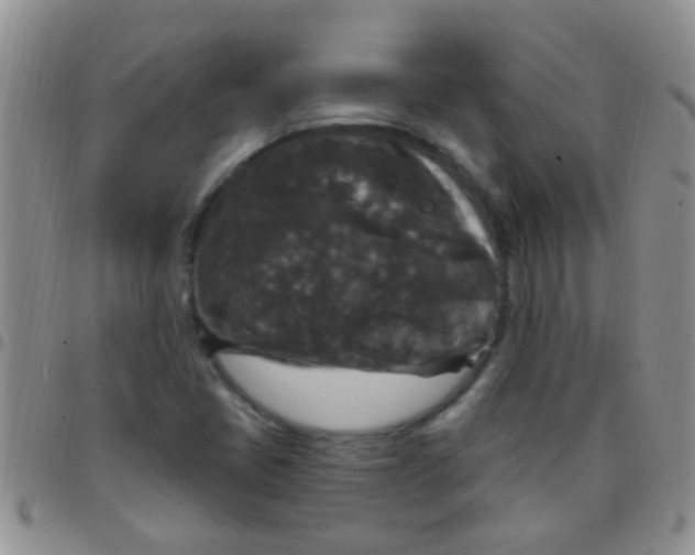 X0000097511405200803142031