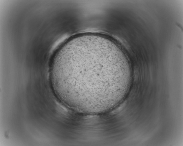 X0000097511406200803142031