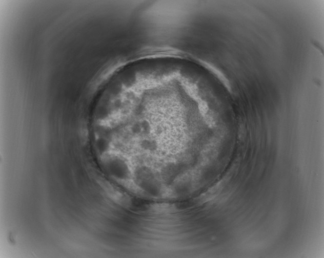 X0000097511407200803142031