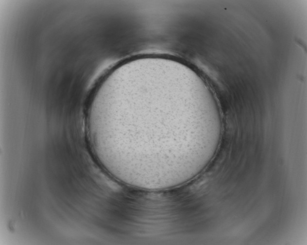 X0000097511408200803142031