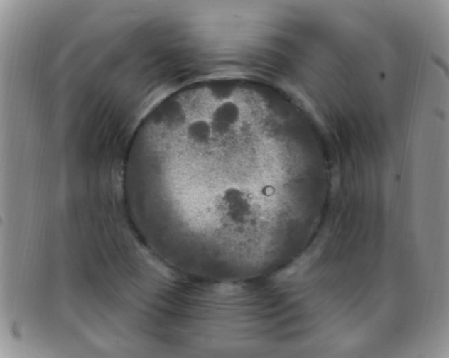 X0000097511409200803142031