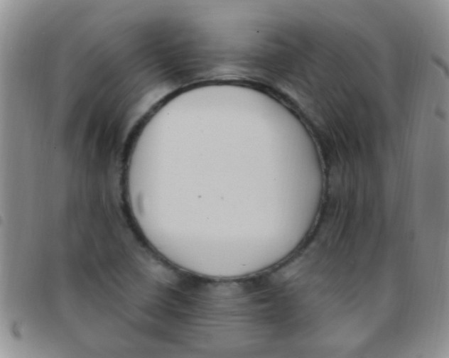 X0000097511410200803142031